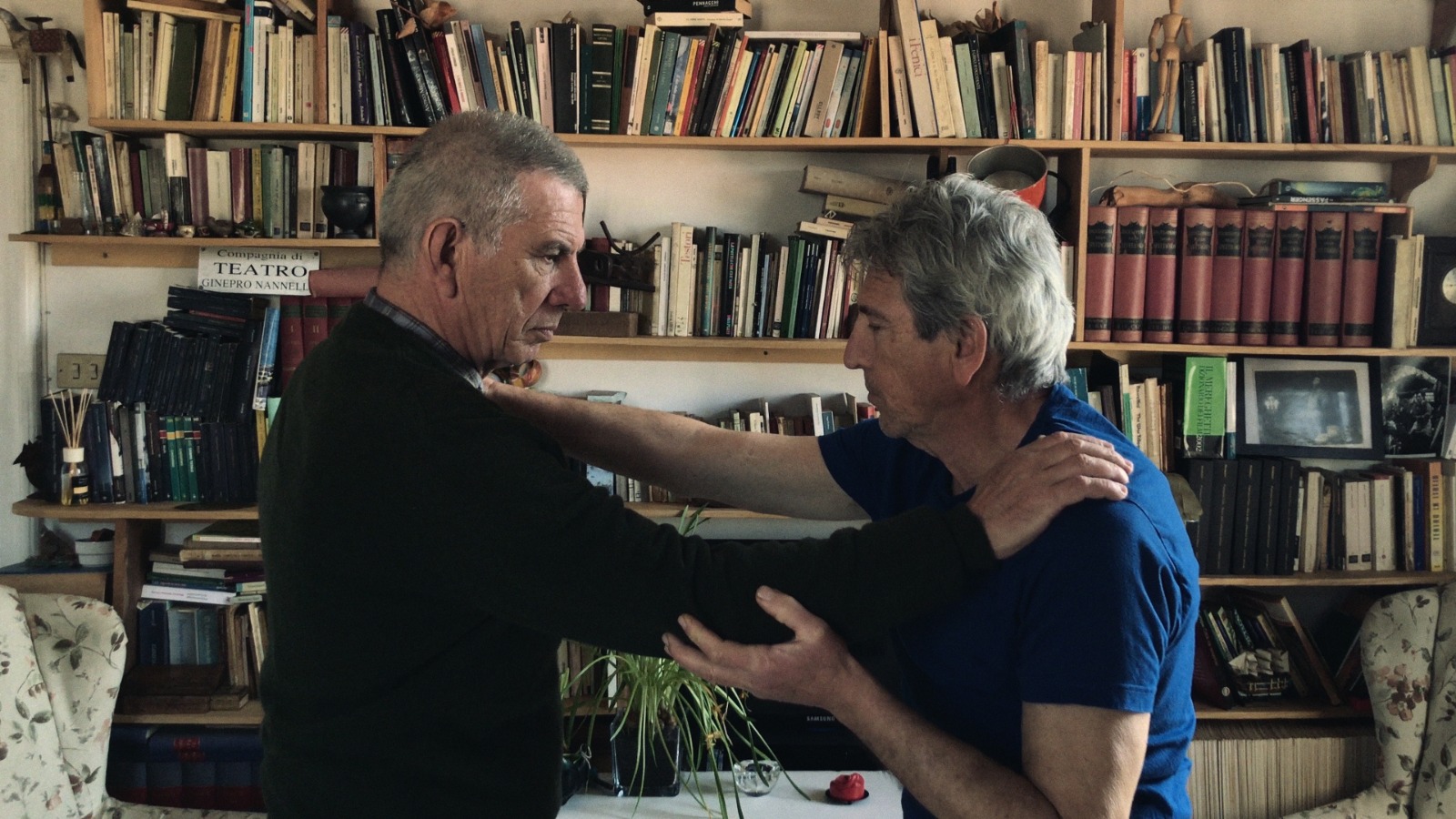 due anni e quattro mesi